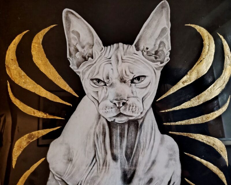 IMG_20250109_174314 IMG_20250109_174314