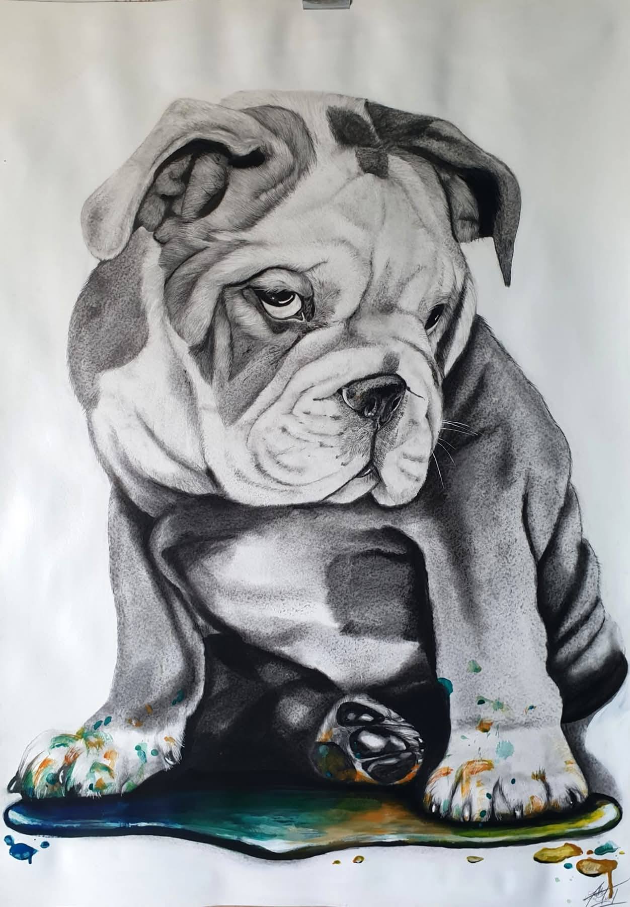 Bouledogue Bouledogue