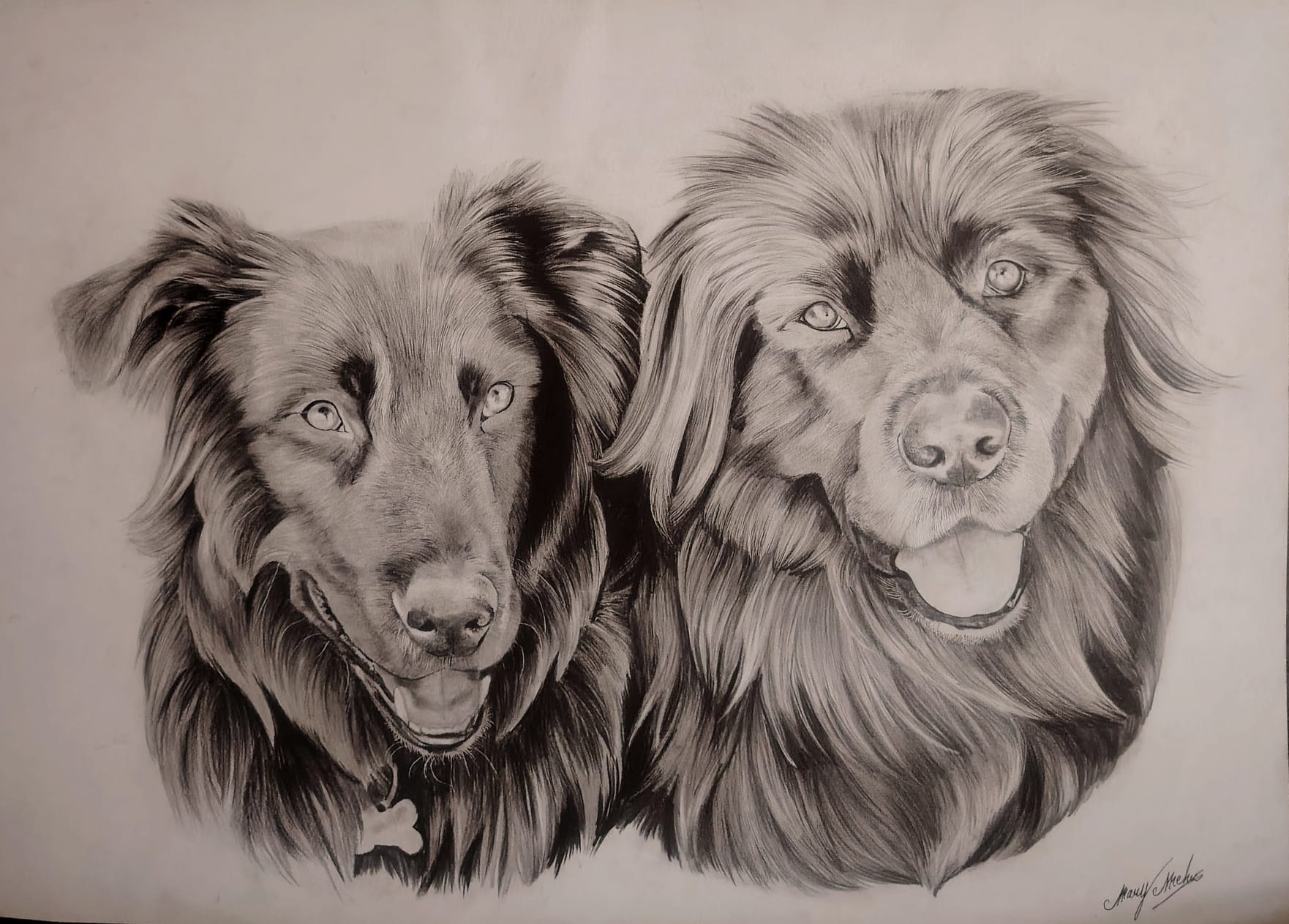 Portrait animalier Portrait animalier